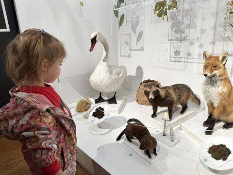 Väike Liira lastekeskus — 3